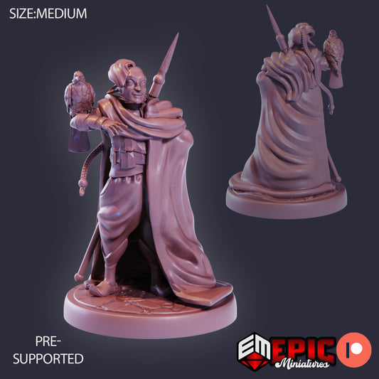 Fir Bholg Falconer 896 - #26 Lost Paradise - Epic Miniatures | Medium | Human, Masculine, Spear