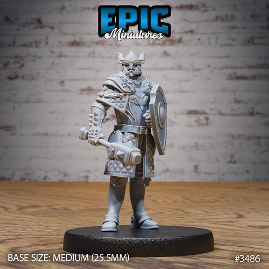 Knight Sir Rollant Series - Epic Miniatures | #82 Chivalry Garden