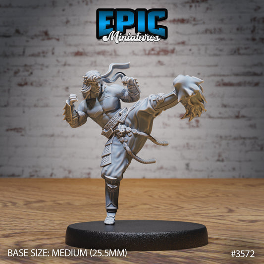 Fire Style Kung Fu Master Series - Epic Miniatures | Iron Fist Tournament