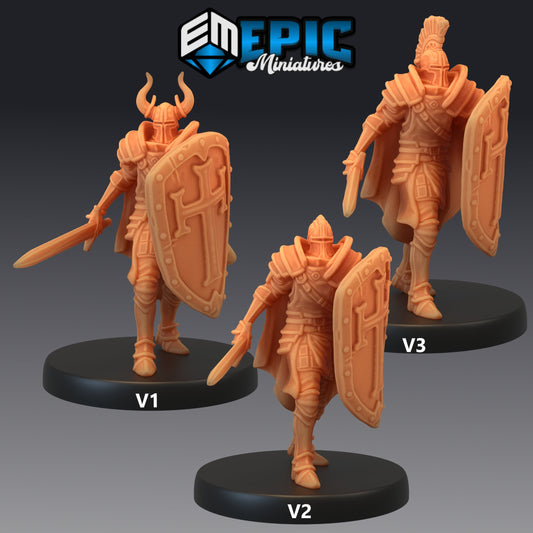 Royal Guard Sword & Shield 374 - #14 Last Rebellion - Epic Miniatures | Knights, Swordsman, Horned Helmets, Shield