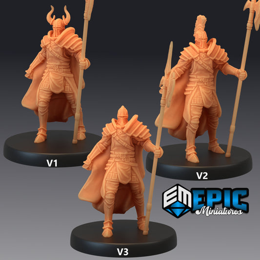 Royal Guard Watch 376 - #14 Last Rebellion - Epic Miniatures | Knights, Watch, Horned Helmets, Royal Guard