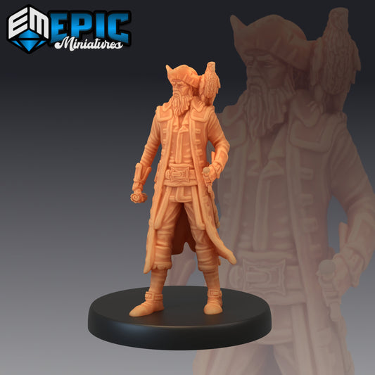 Pirate Captain Exploring 085 - #06 Pirates Voyage - Epic Miniatures | Pirate Captain, Pirate, Captain
