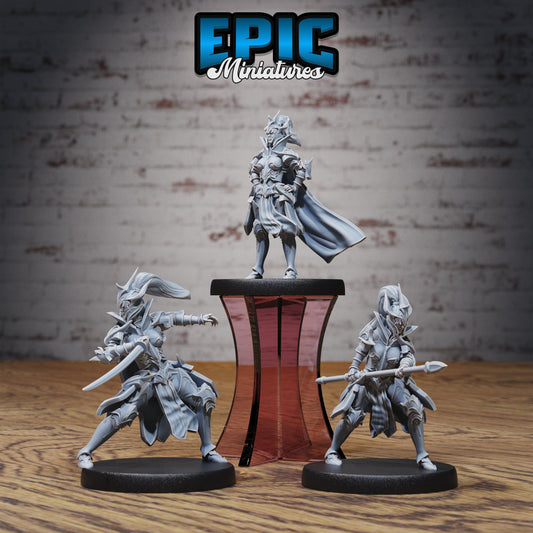 Hunters Guild Female Knight Series - #76 Dragons Reign - Epic Miniatures | Human | Feminine | Hunters Guild |Medium