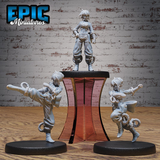 Monk Female Player Character Series - Epic Miniatures | Iron Fist Tournament