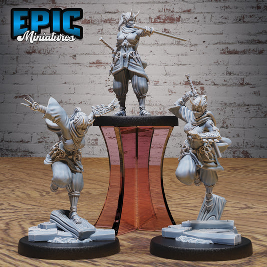 Dark Kunoichi Series - Epic Miniatures | Iron Fist Tournament