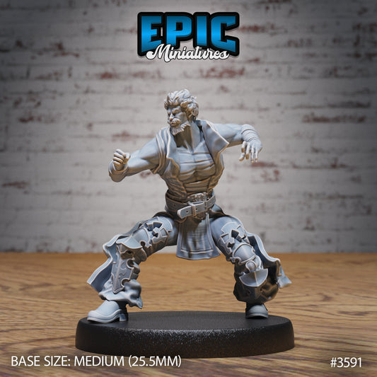 Gaijin Challenger Series - Epic Miniatures | Iron Fist Tournament