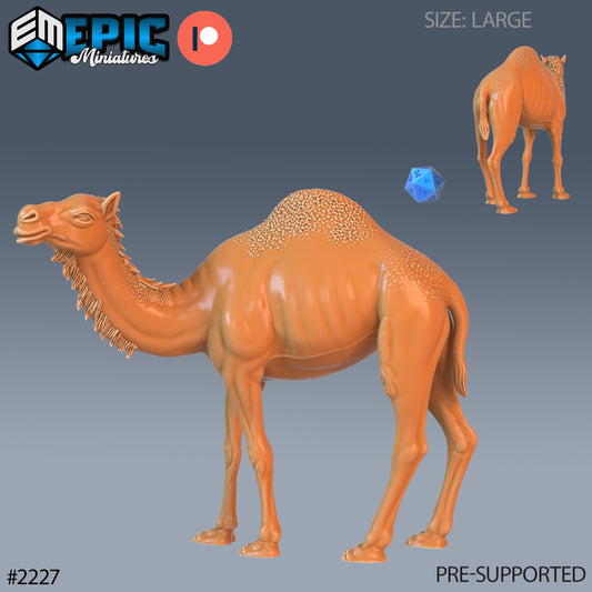 Camel Wild - Epic Miniatures | #56 Oriental Dunes